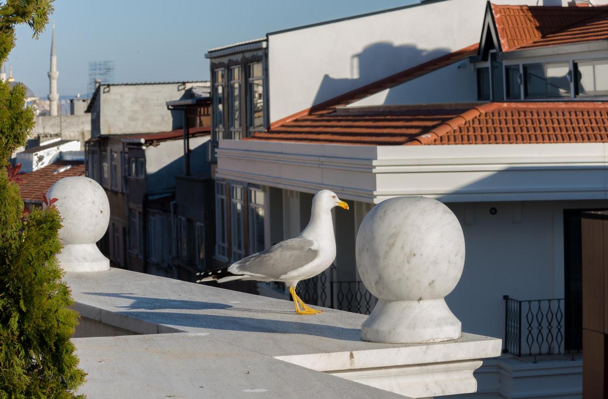 Bizim Hotel Istanbul Exterior foto